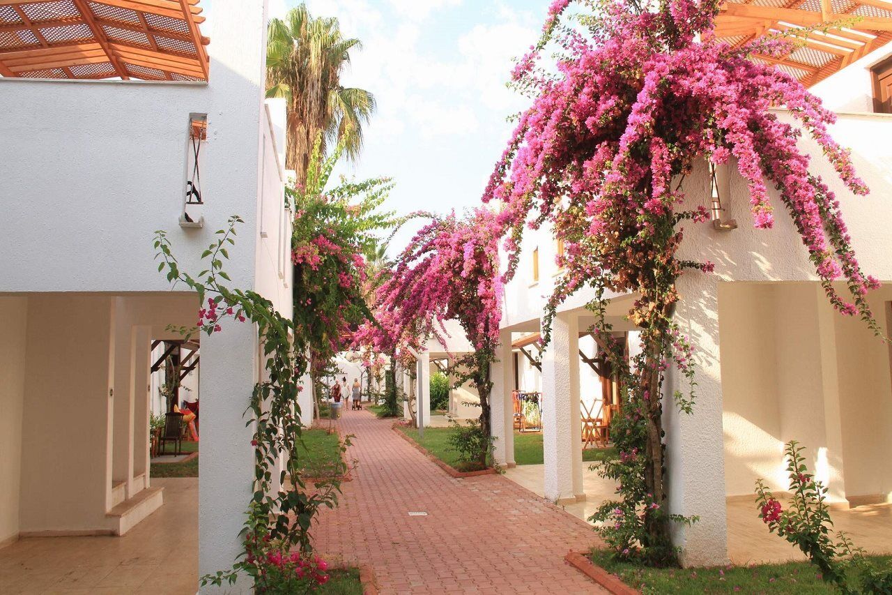 Club Kastalia Holiday Village Конакли Екстер'єр фото